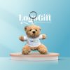 moc-khoa-gau-bong-teddy-qua-tang-in-logo-ao-trang-lg-mk03 (1)